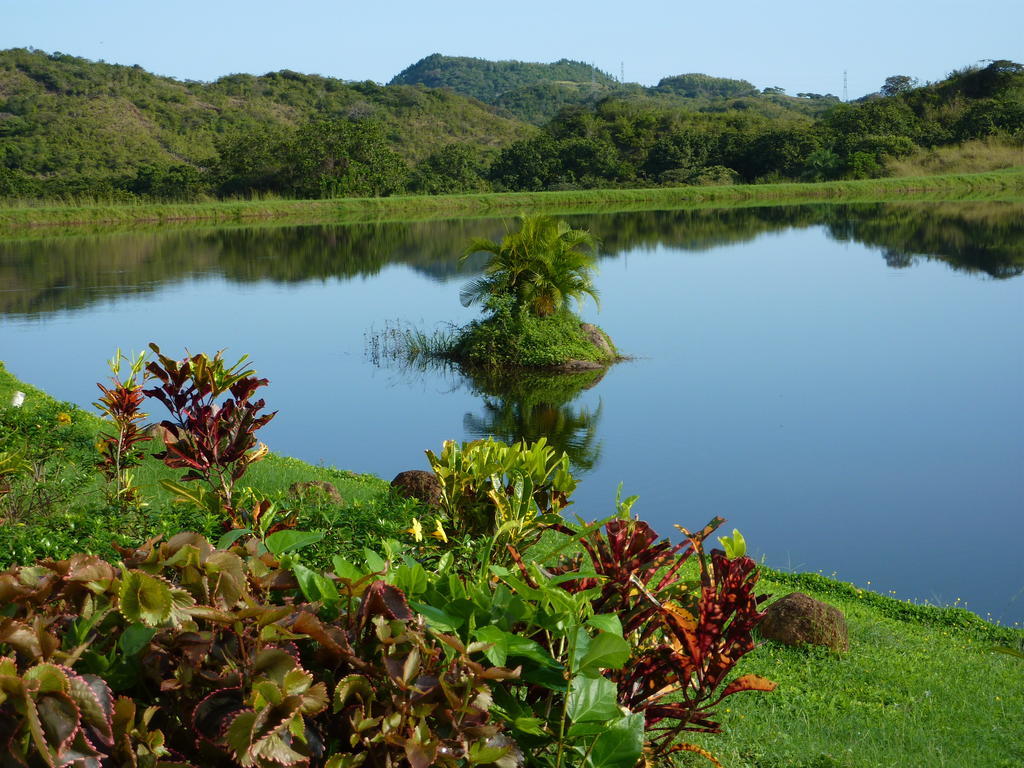 Hotel Vista Lago 산티아고 객실 사진